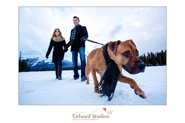 Winter engagement photos :: walking the dog in the snow